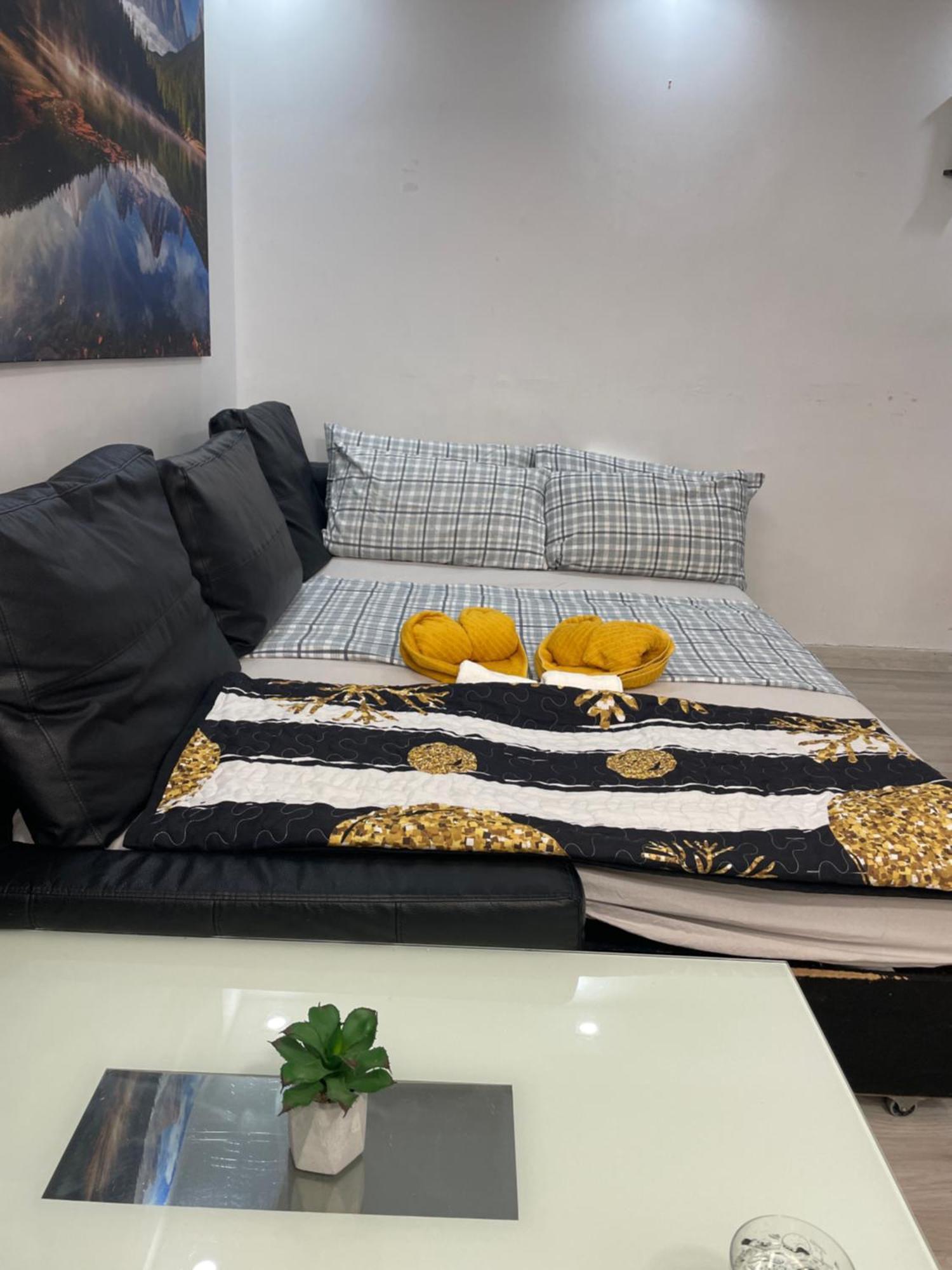 Entero Centrico Apartment *
