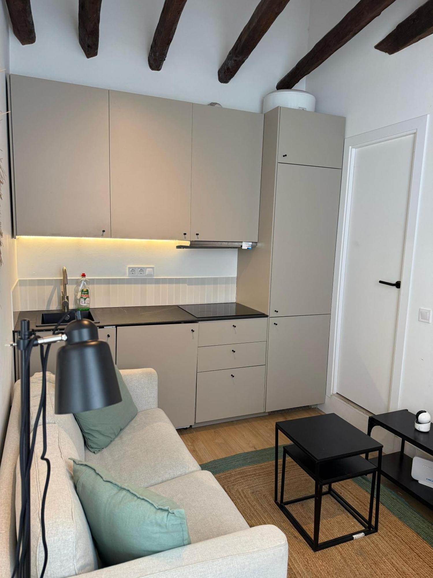 Apartment Plaza De El Rey Madrid