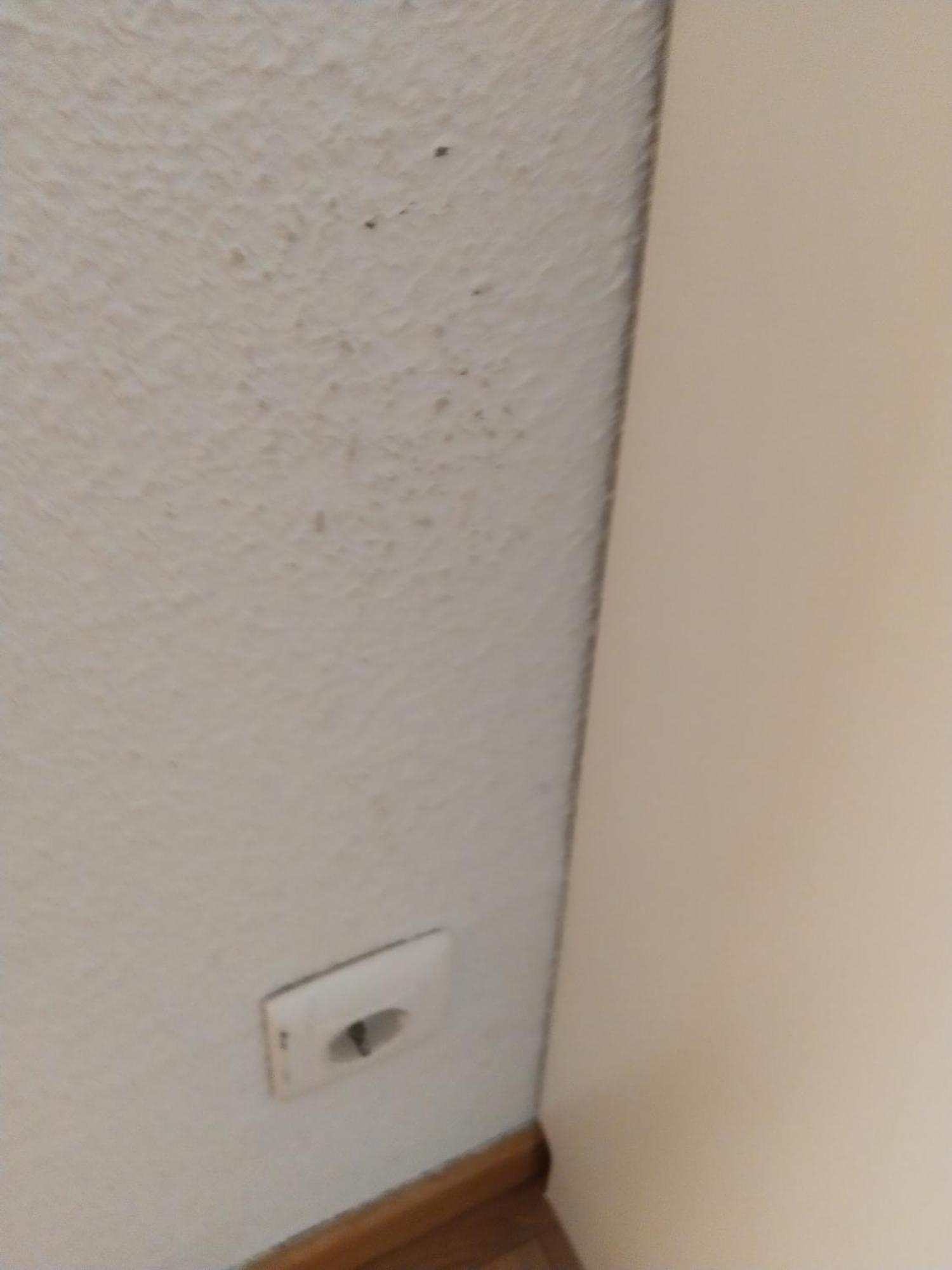 Apartamento Centro, La Lorenza *