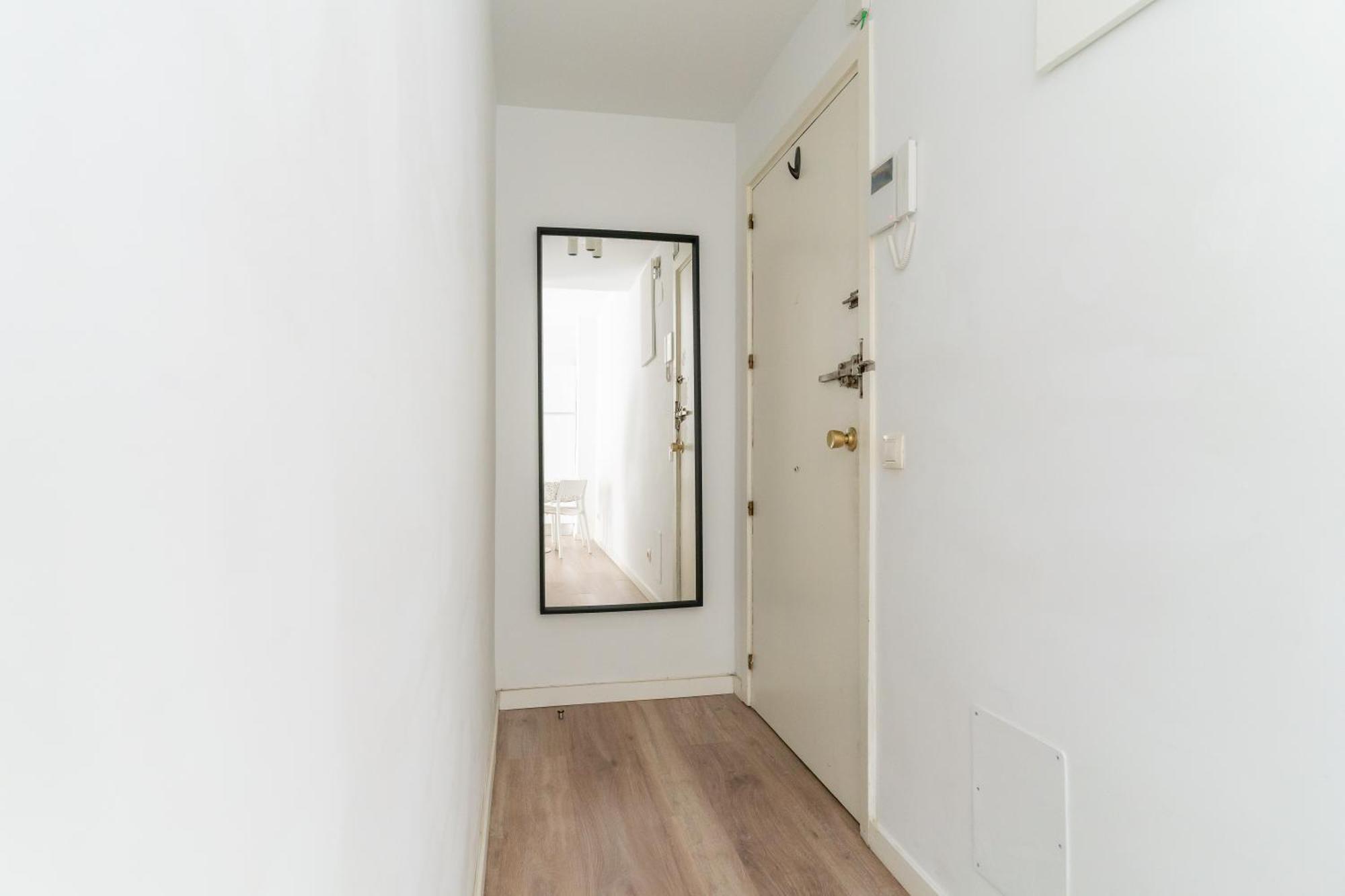 Cozy - 1bedroom 1bathroom -sol * Madrid