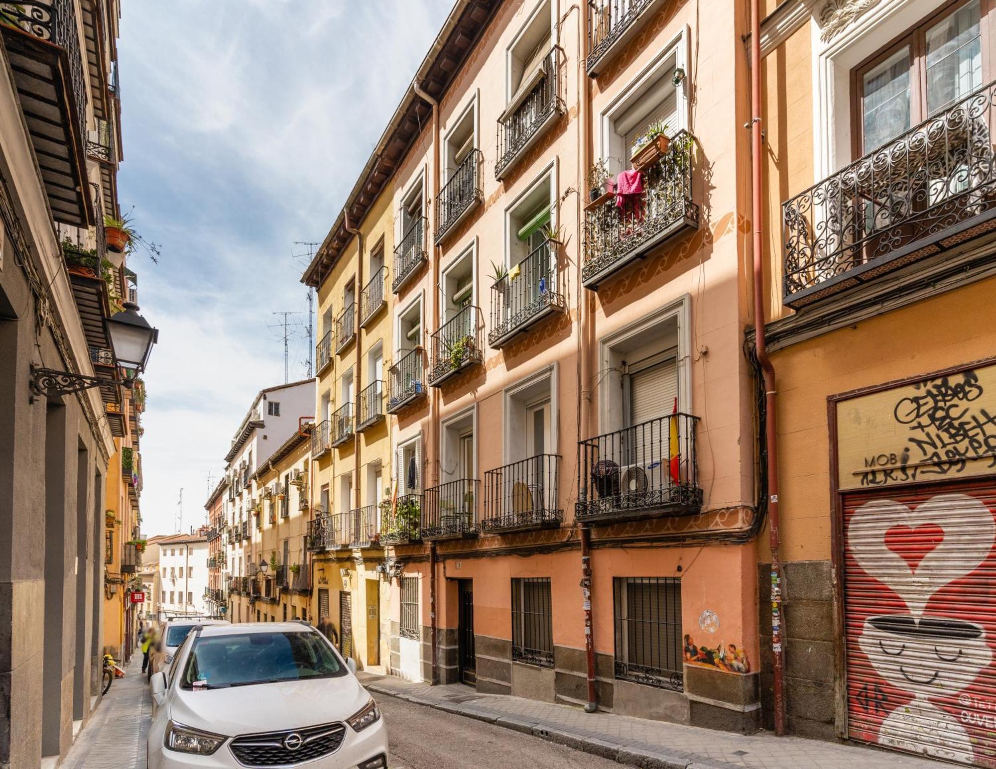 Cozy Renovated -1bd 1bath -anton Martin Apartment
