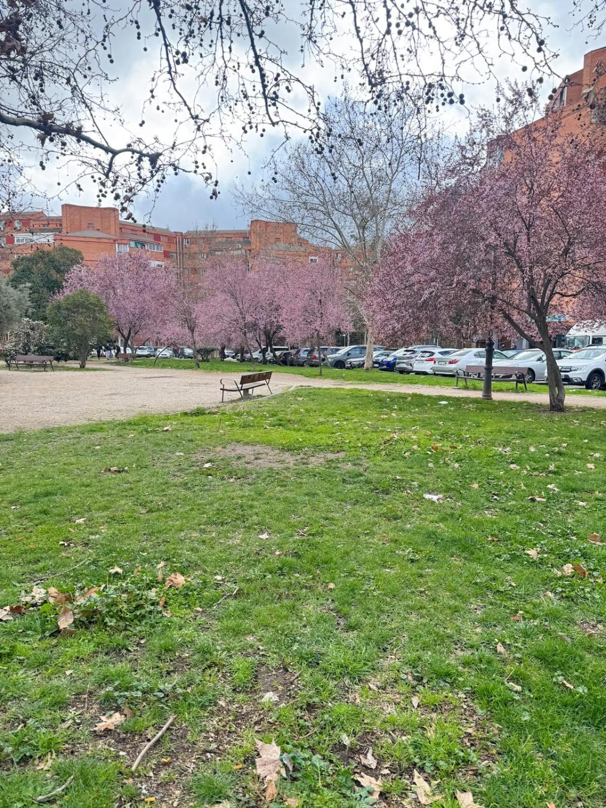 Apartment Cuatro A 15 Minutos Del Centro De Madrid