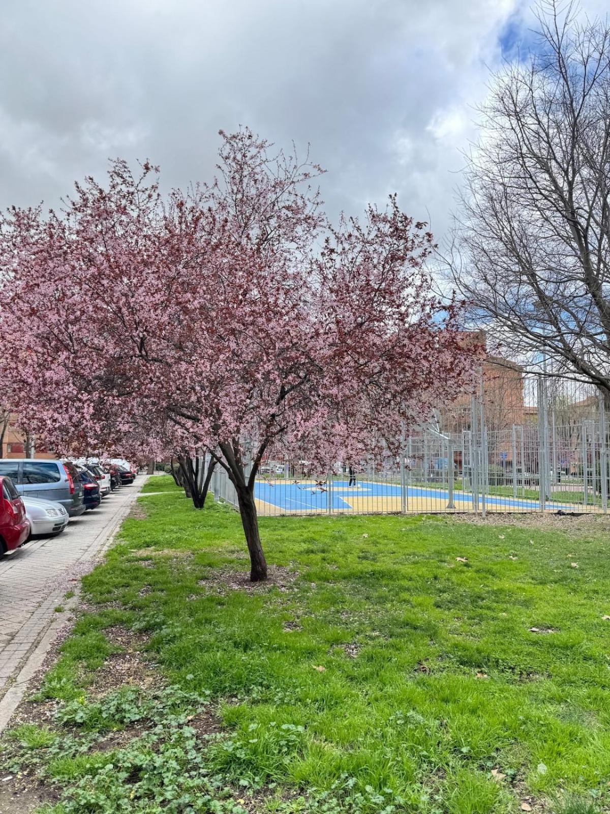 Cuatro A 15 Minutos Del Centro De Apartment *