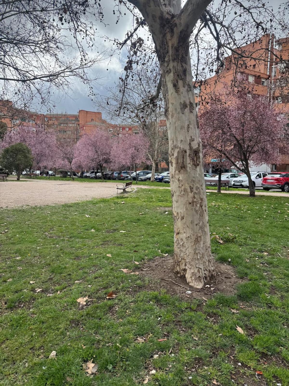 Cuatro A 15 Minutos Del Centro De Madrid