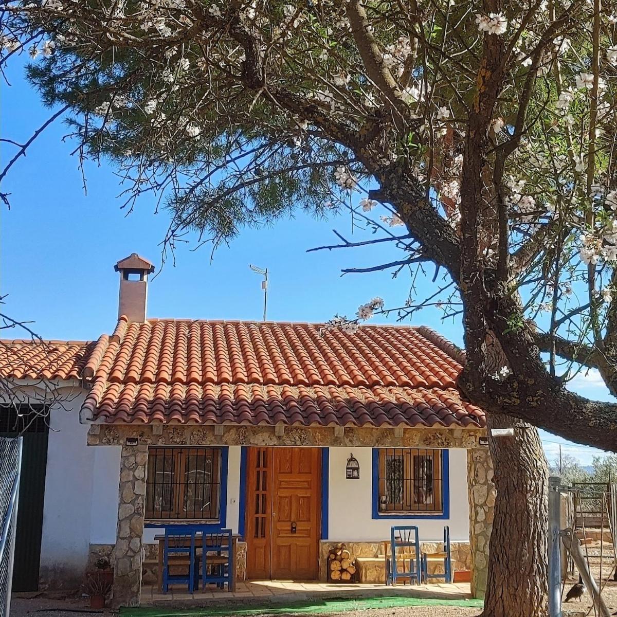 Holiday home La Charquita Del Pato Andres *