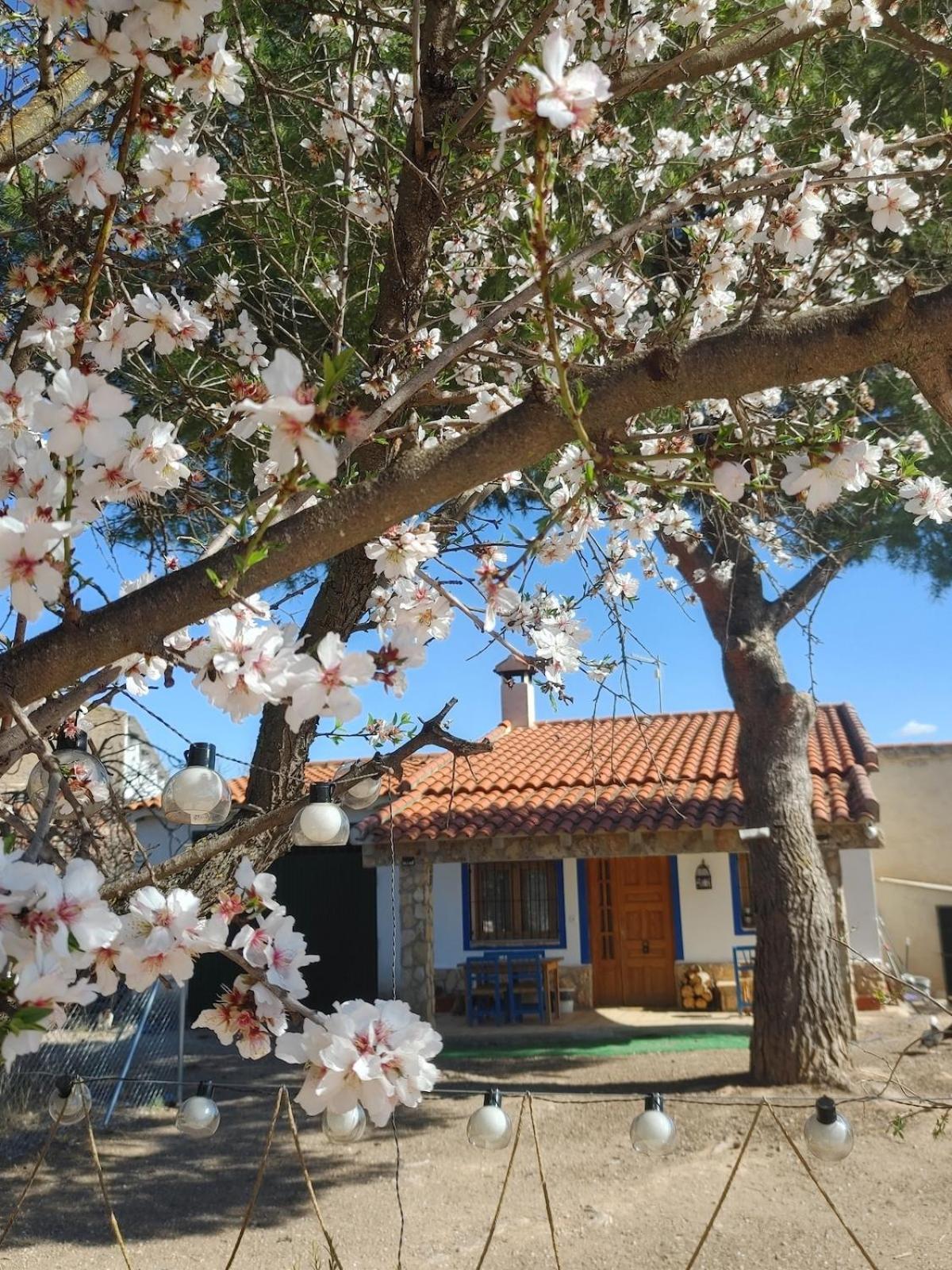 La Charquita Del Pato Andres Holiday home