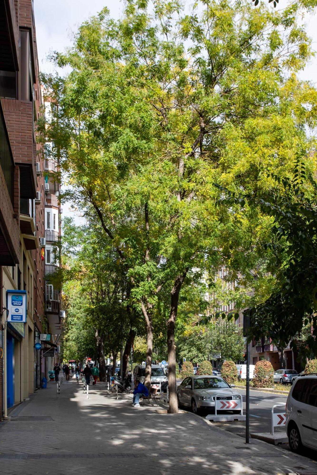 Apto El Carmen * Madrid
