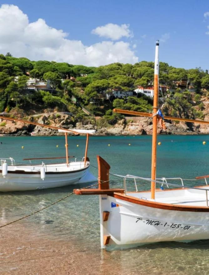 Cala Del Rey In Sa Riera, Costa Brava
