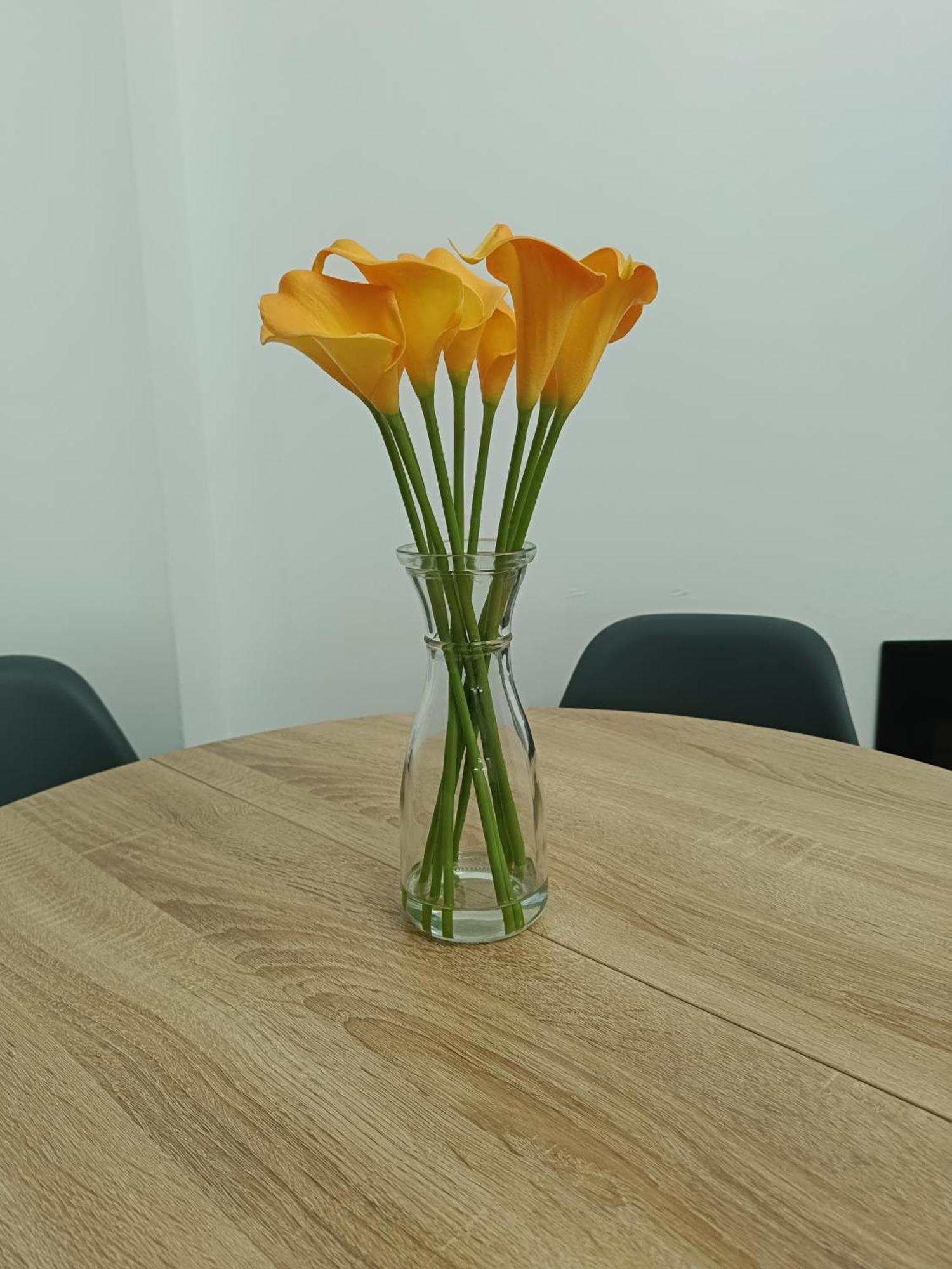 Apartment Acogedor A