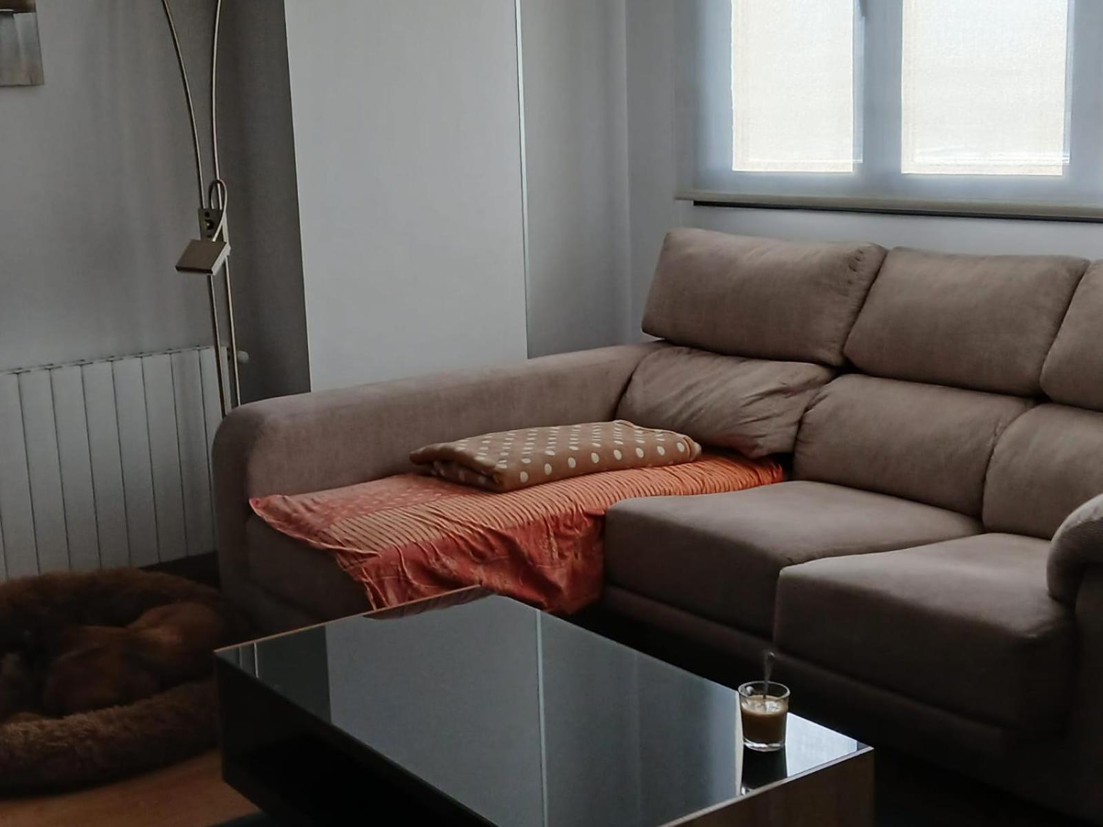 Javis House