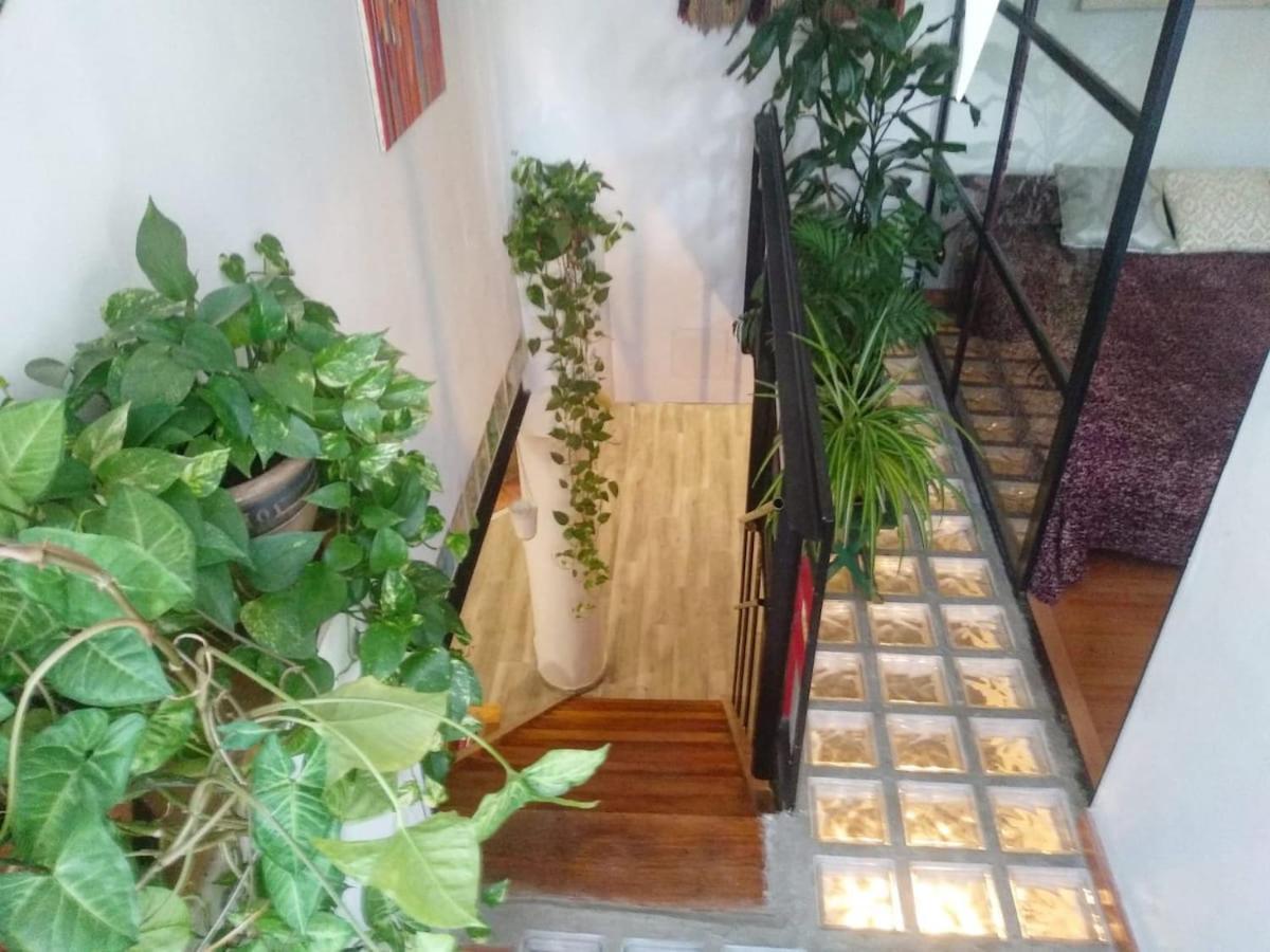 Lujoso Duplex Tranquilo