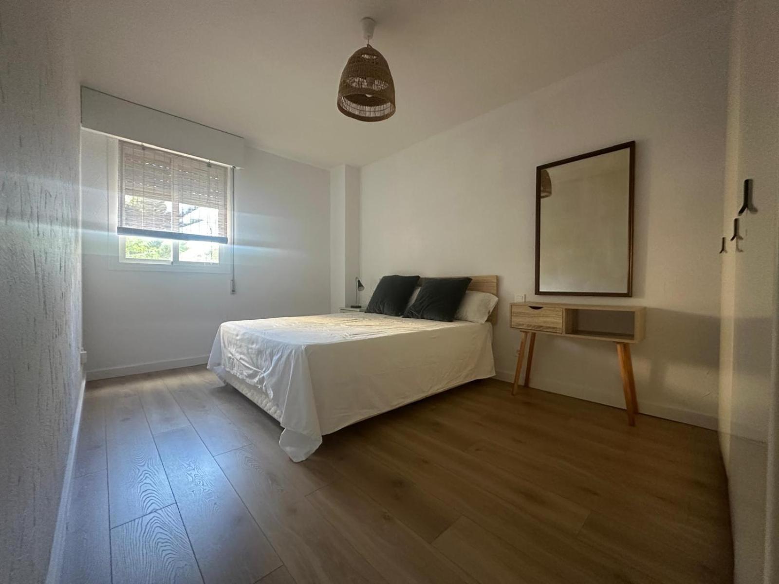 Alquiler Alicante Budahome *