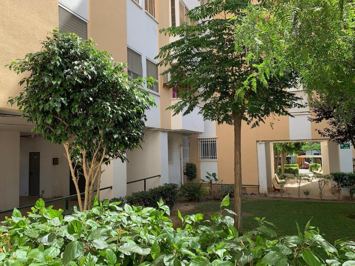 Apartment Alquiler Alicante Budahome