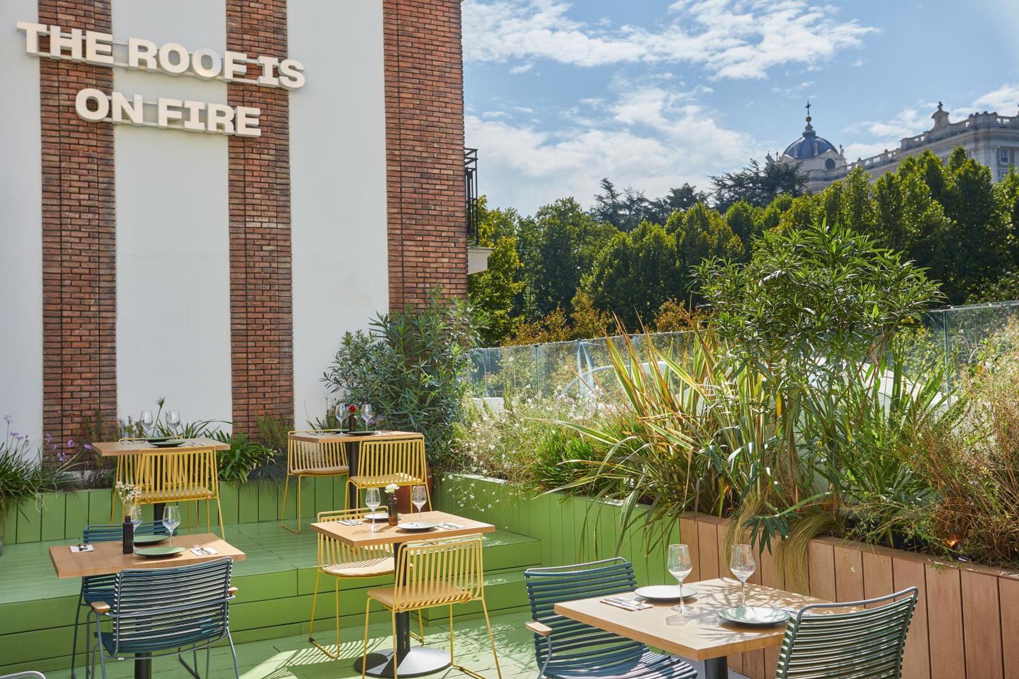 The Social Hub 4*