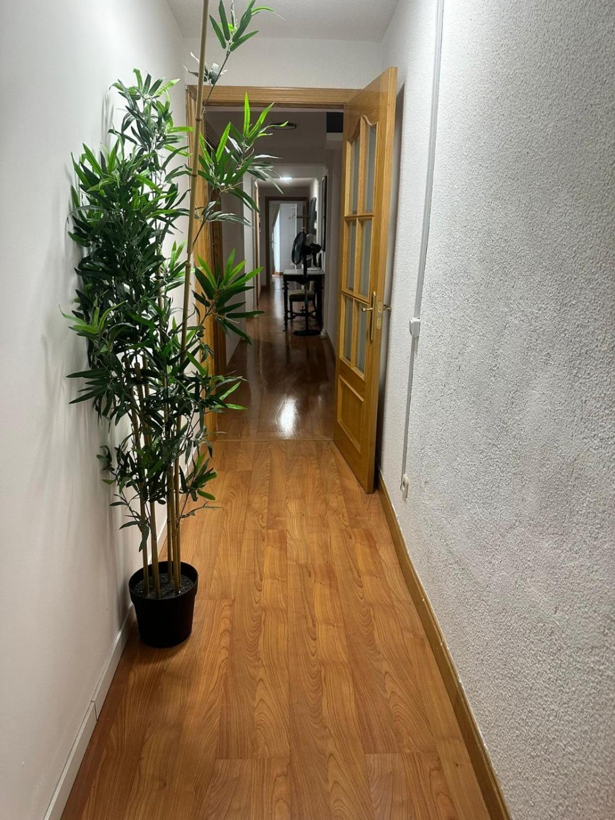 Plaza Guest house Madrid