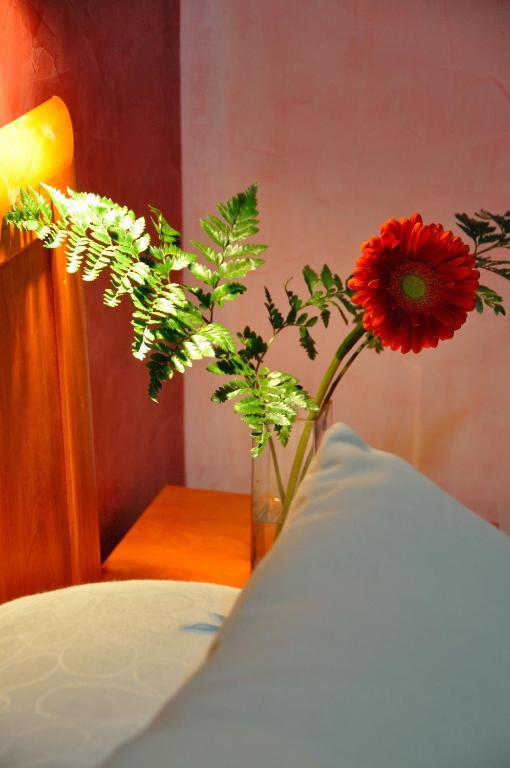 Hostel Far Plaza Mayor