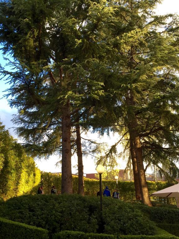 Hotel Jardin Real De Mirasierra