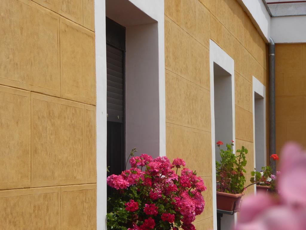 Guest house Huespedes Toledo