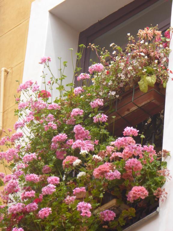 Guest house Huespedes Toledo