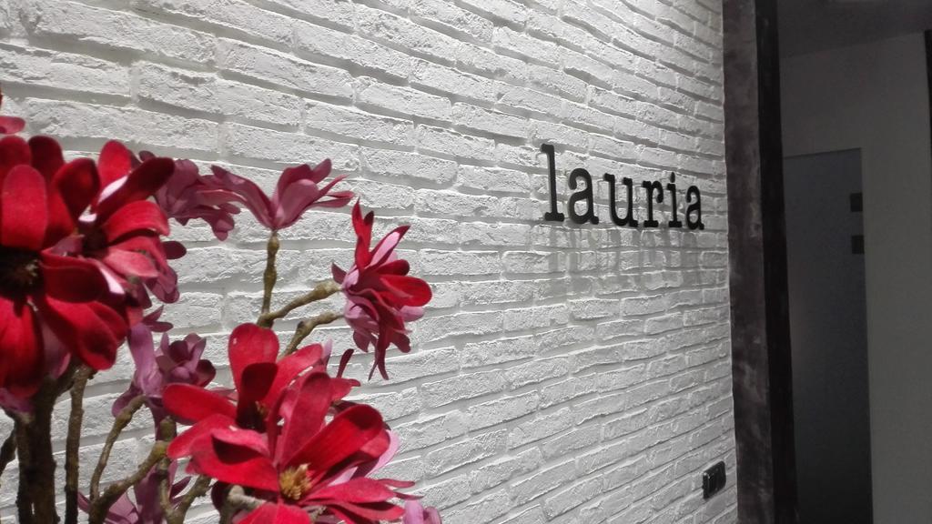 Guest house Lauria Madrid