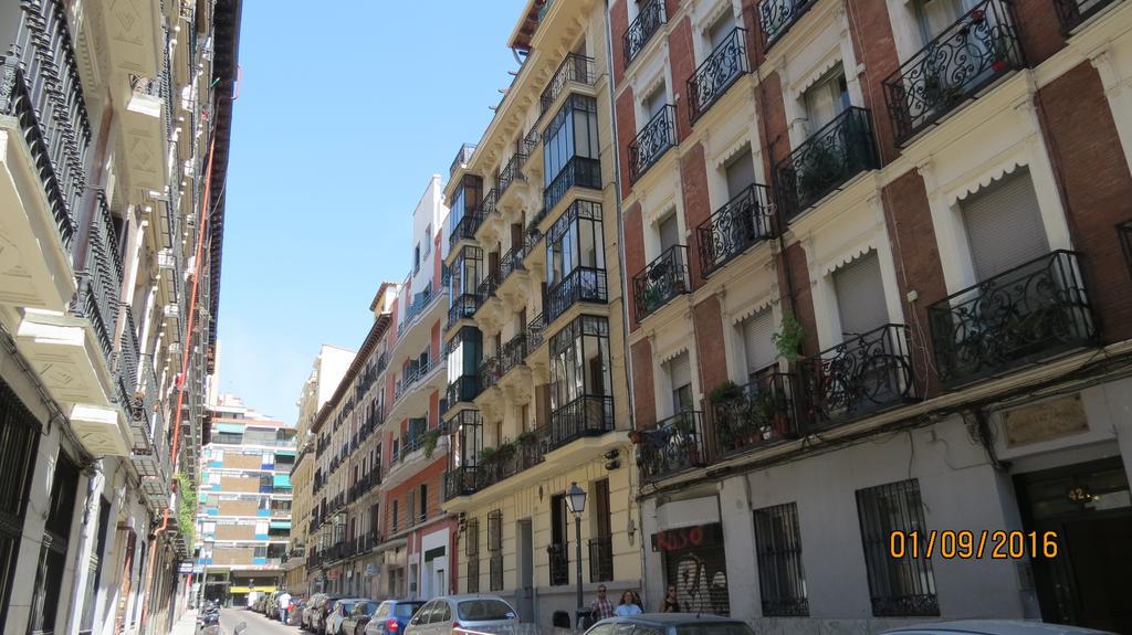 Monteleon 46