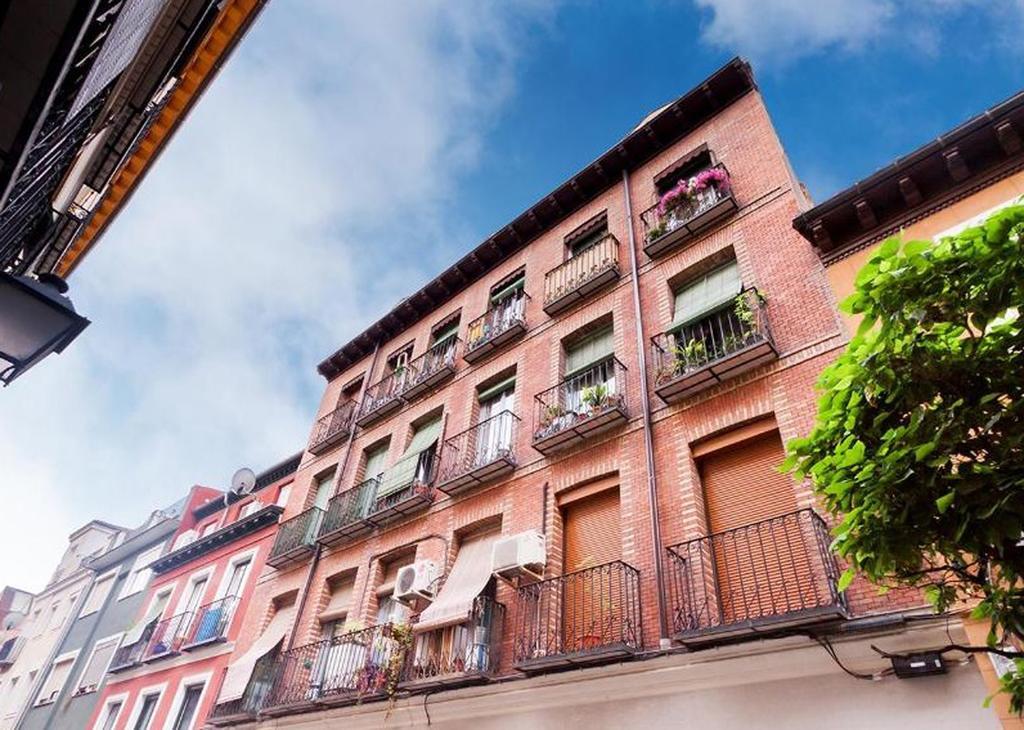 Olivar Madrid