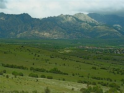 Camino