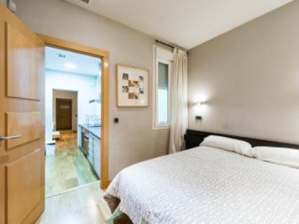 Great Apartment Near Plaza Mayor Large Groups *