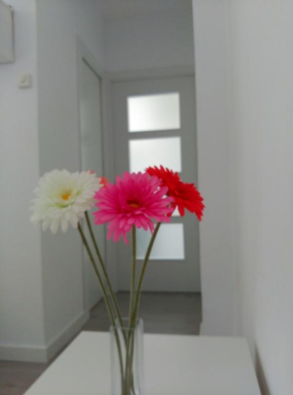 Apartment Carabanchel Castizo