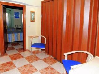 Ch Plaza D'ort Iv *