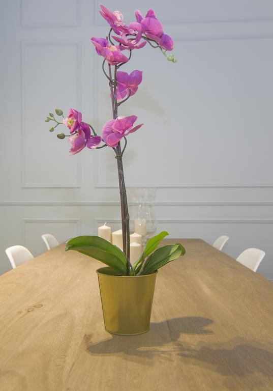 Apartamento Luxury Alonso Martinez Madri