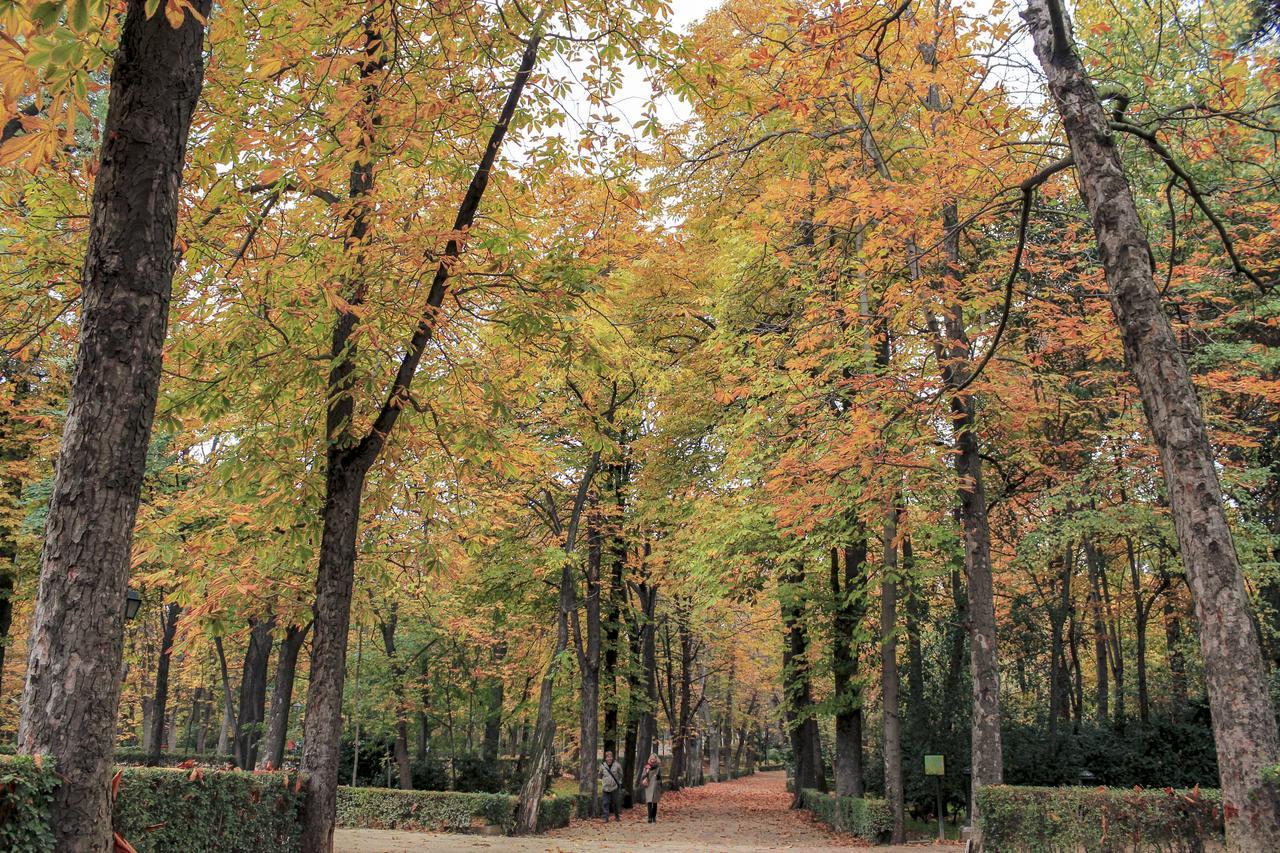 Premium Retiro Park - 3br 2bt Madrid