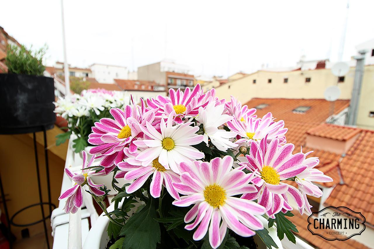 Charming Oasis In The Centre Of *