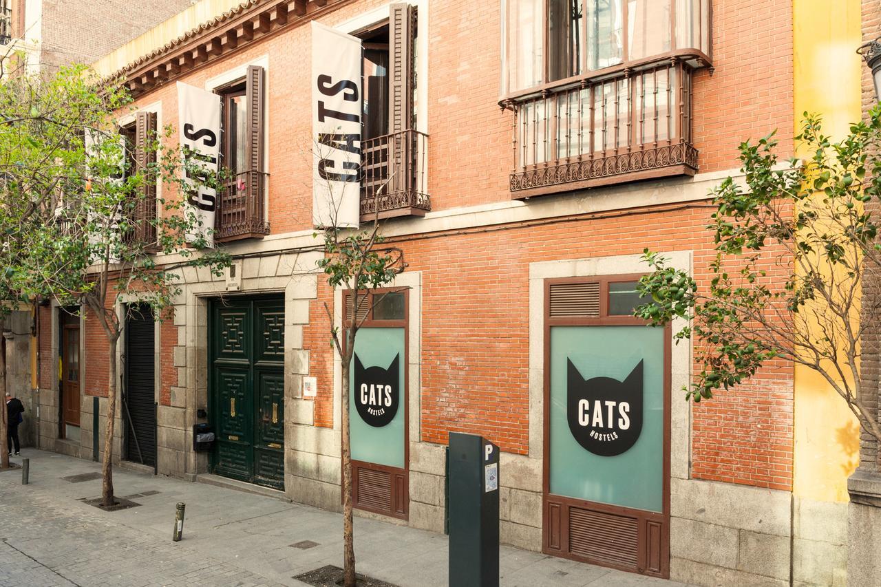 Albergue Cats Sol Madri