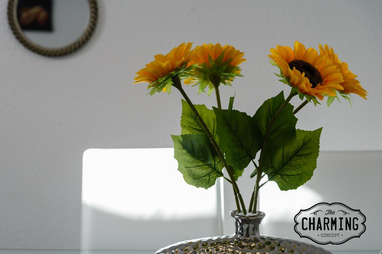 Charming Argensola Center - * Madri