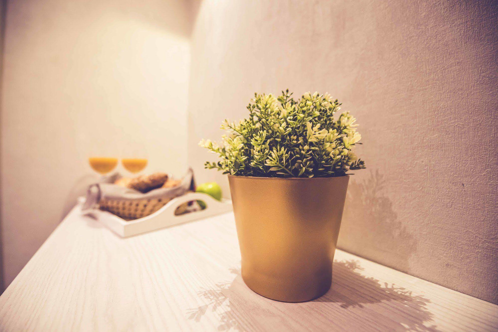 Guest house Lisboa Madrid