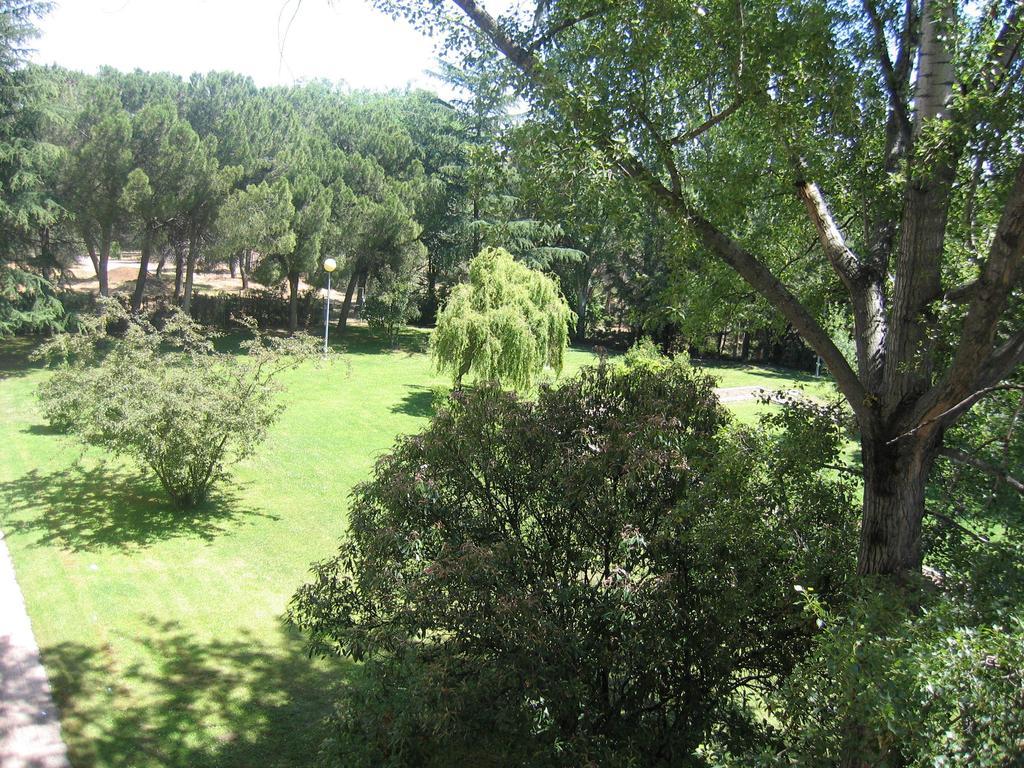 Escuela 2* Madrid