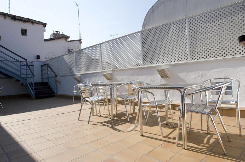 Albergue Cats Chill Out Madri