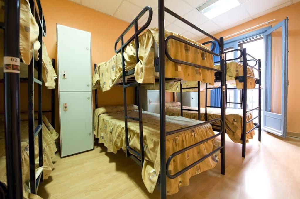 Cats Chill Out Albergue Madri