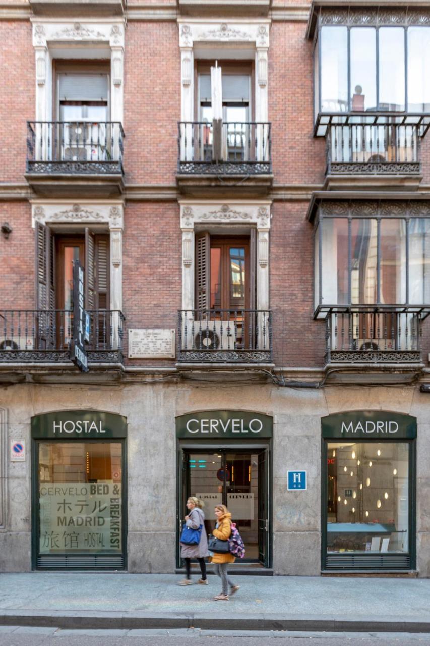 Cervelo Casa de hóspedes Madri