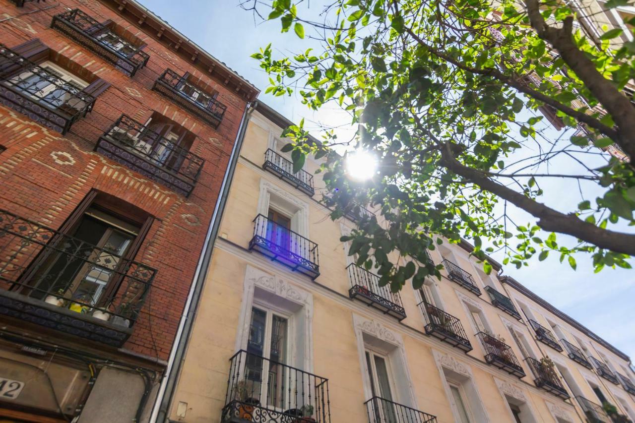 Temporal Diseno Chueca-malasana Brc40 Madrid