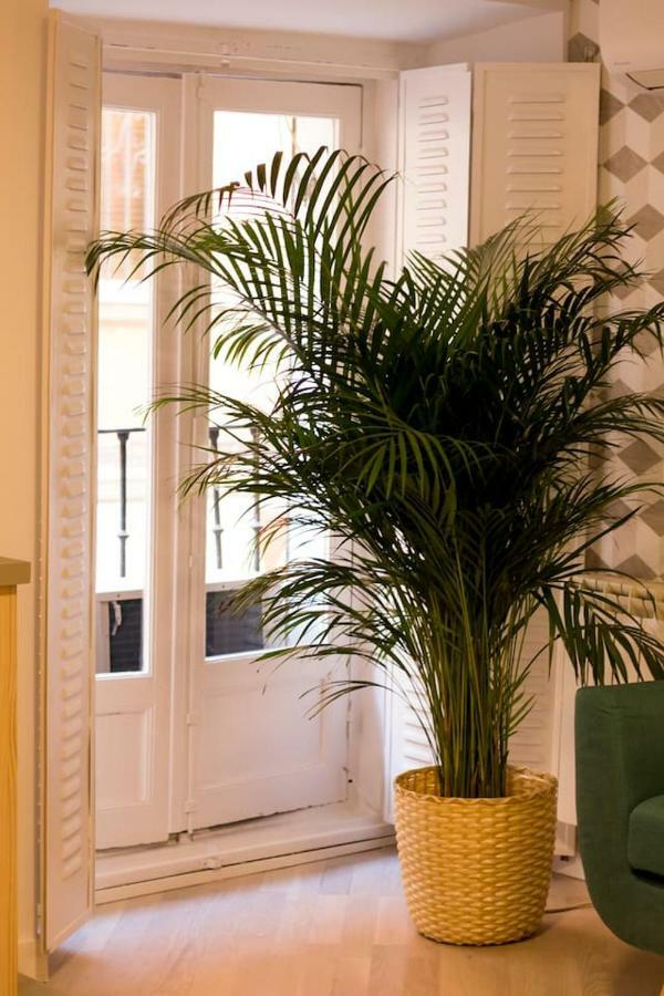 Apartamento Espectacular Y De Diseno En La Latina * Madrid