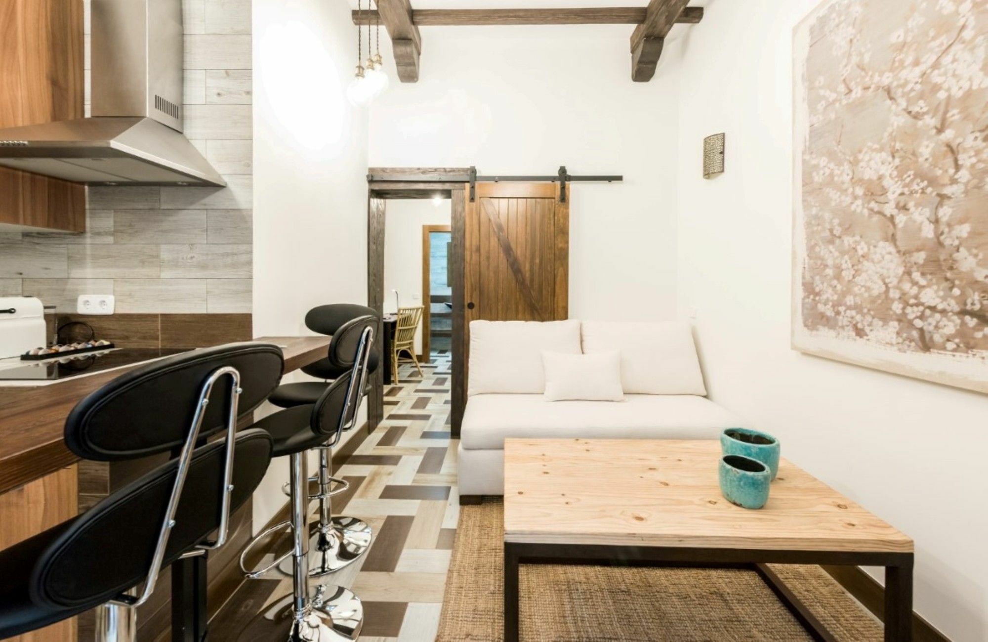 Pedro Zerolo Center Apartment