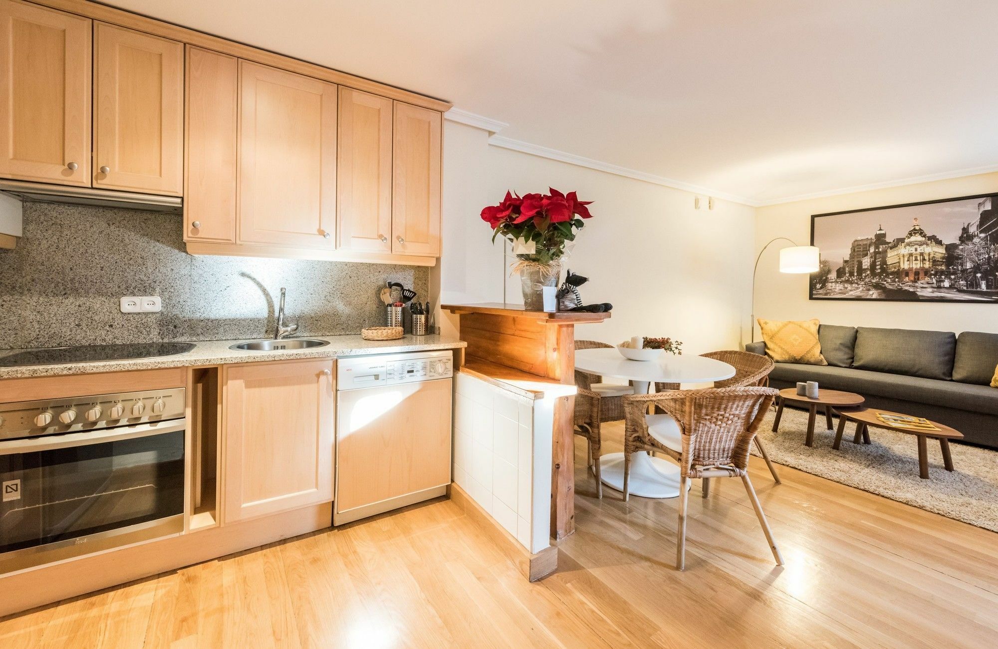 Apartment Recoletos Center *