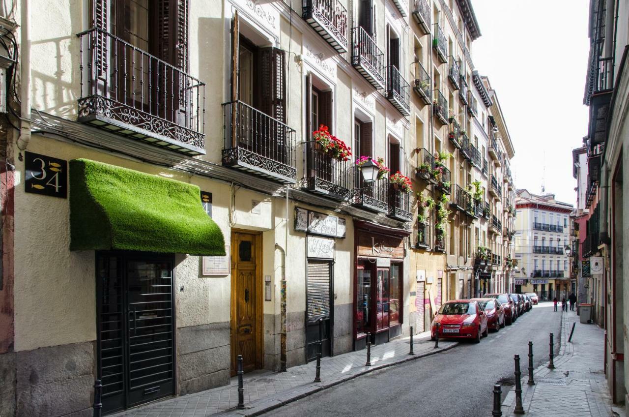Renovated And Modern- 3bd 2bth- Anton Martin Apartment