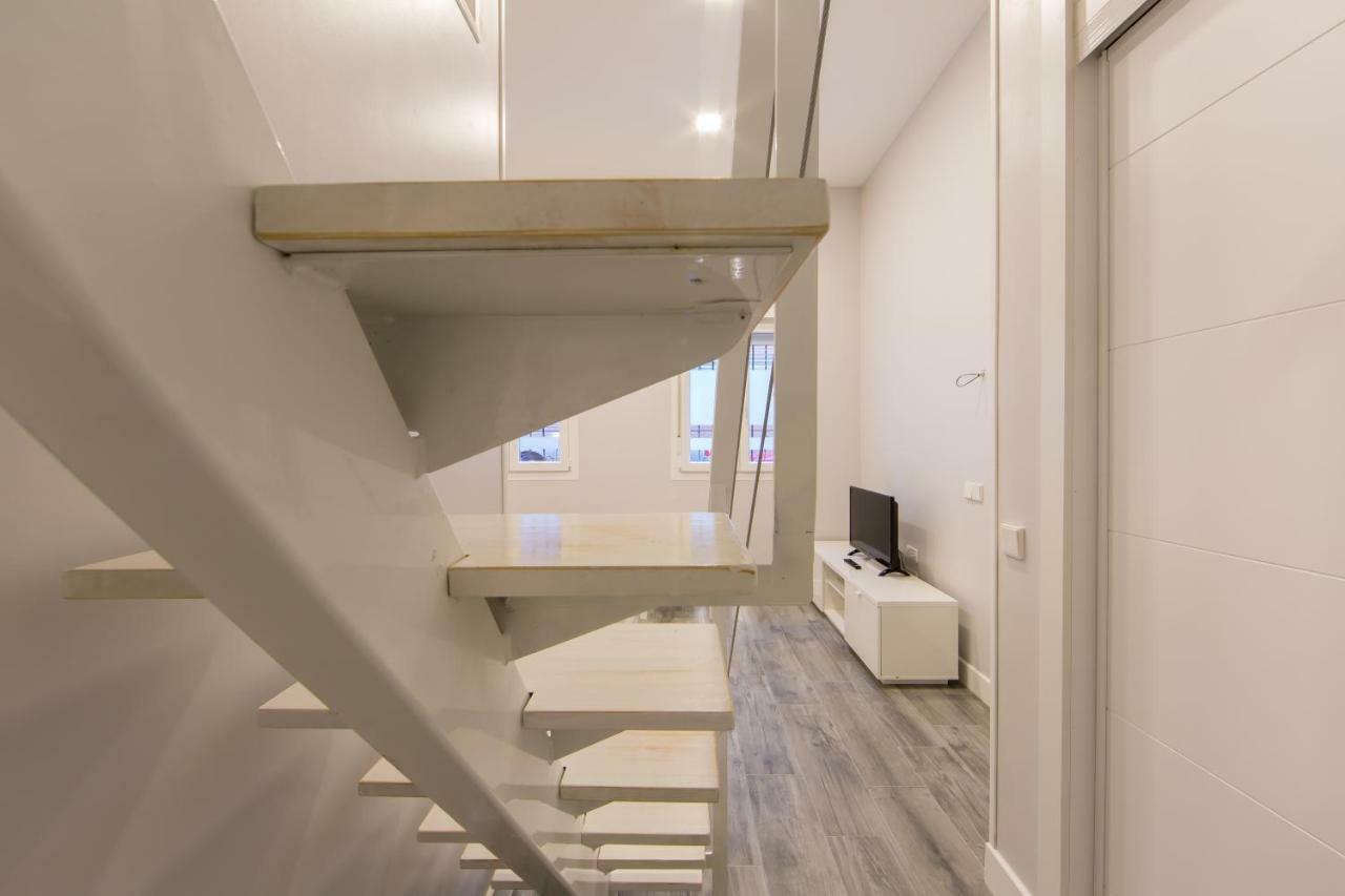 Windrose 5 * Madrid