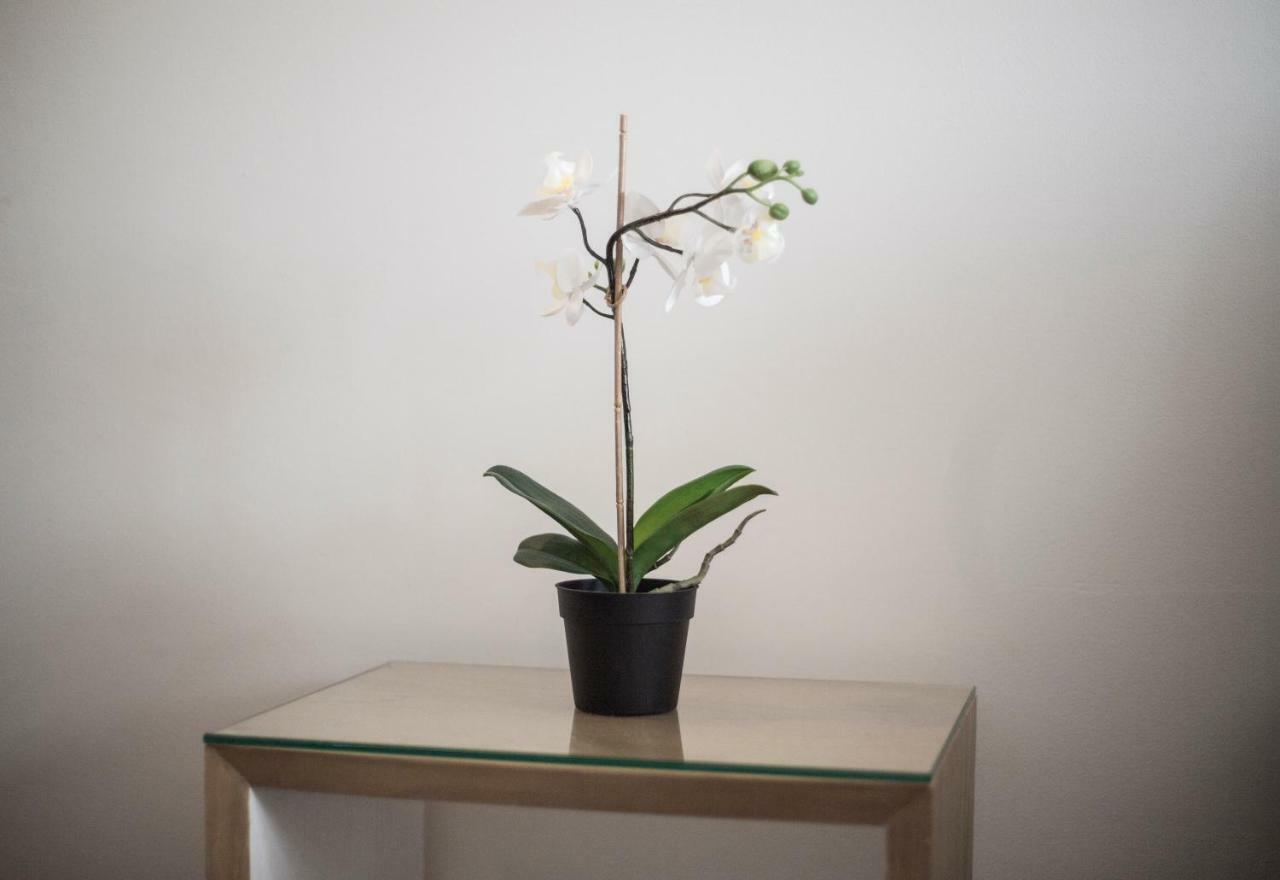 Apartment Elegant Retreat Business District Bernabeu Madrid