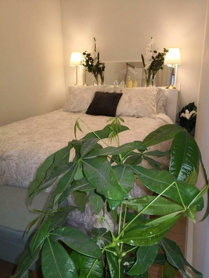 Apartment Explore From A Warm With Patio At A Newly Refurbished Manorial Building Madrid
