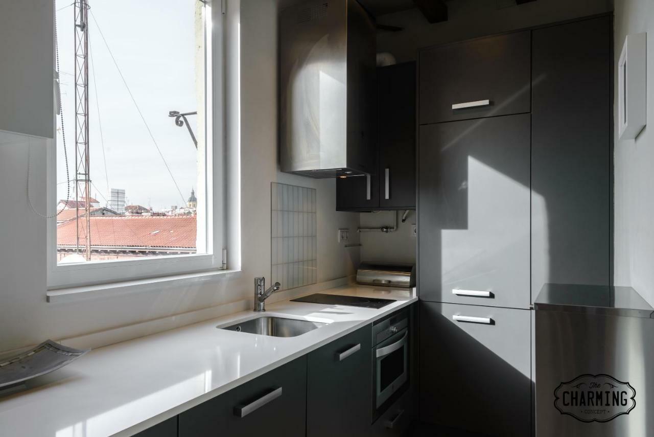 Apartment Charming Reina Sofia Madrid