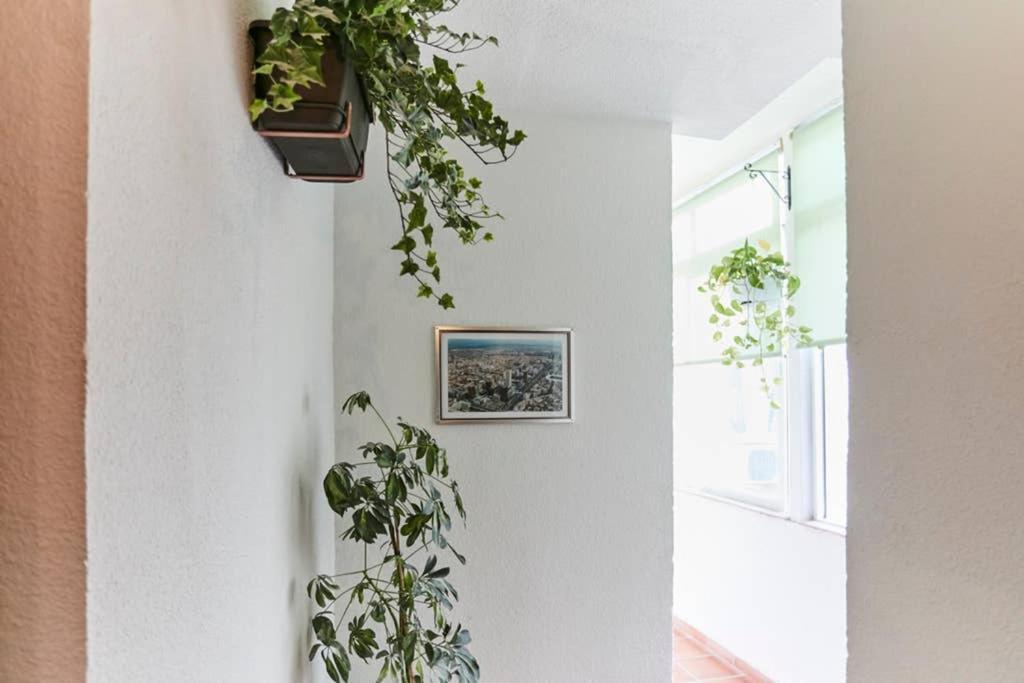 Original Y Coqueto Apartamento Junto A Plaza Mayor Madrid